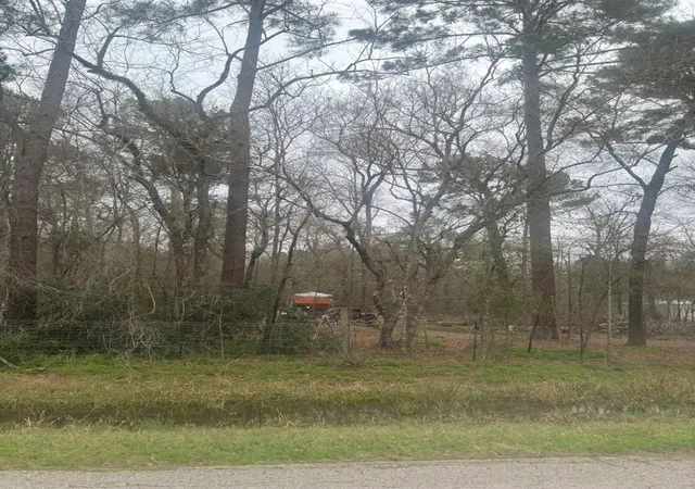 Photo 3 of Land for sale at 668 County Rd 647, Dayton, TX 77535 | MLS# 4554136 | Listing updated on 2026-05-16