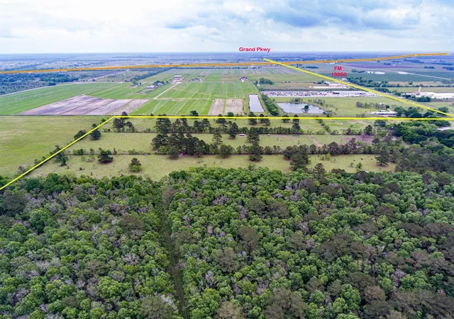 Photo 3 of Land for sale at 7886 Fm 1960, Dayton, TX 77535 | MLS# 42719813 | Listing updated on 2026-10-06