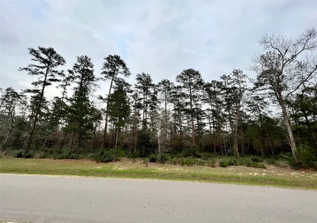 Photo 2 of Land for sale at Tbd 2 Lily Bean, Montgomery, TX 77316 | MLS# 78717992 | Listing updated on 2026-09-03
