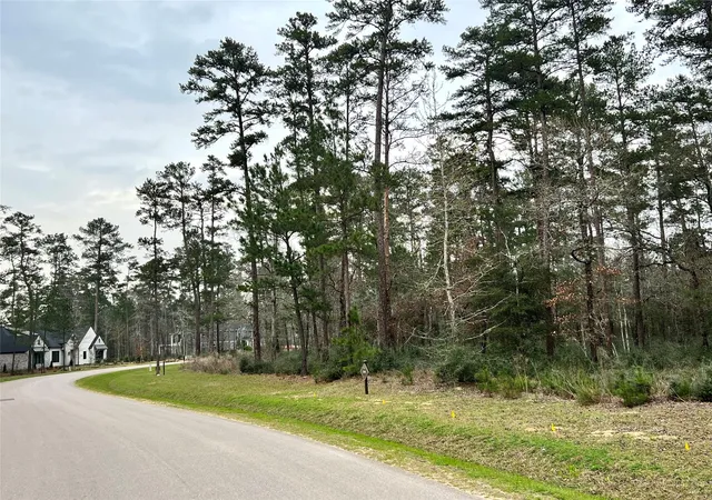 Photo 2 of Land for sale at Tbd 2 Lily Bean, Montgomery, TX 77316 | MLS# 78717992 | Listing updated on 2026-09-03