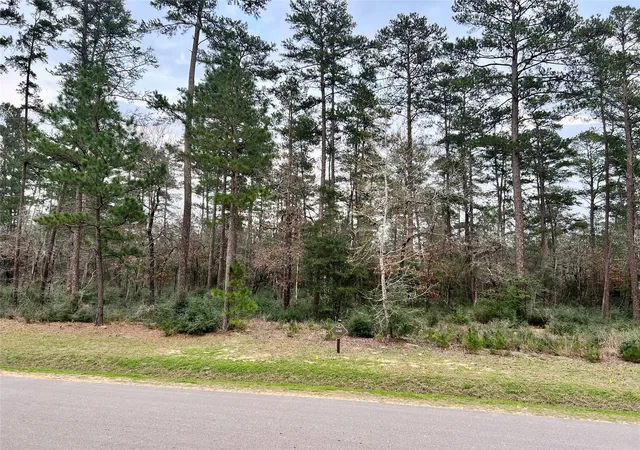 Photo 3 of Land for sale at Tbd 2 Lily Bean, Montgomery, TX 77316 | MLS# 78717992 | Listing updated on 2026-09-03