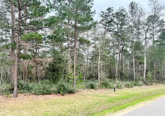 Photo 4 of Land for sale at Tbd 2 Lily Bean, Montgomery, TX 77316 | MLS# 78717992 | Listing updated on 2026-09-03