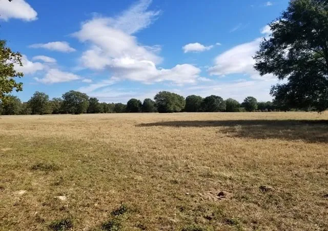 Homes for sale in Franklin, TX | 6526 Owensville Cemetery Rd, Franklin, TX 77856 | MLS# 13140260