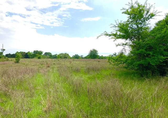14th image of 775 S Fm 441 Rd, Louise, TX 77455 | MLS# 44728340