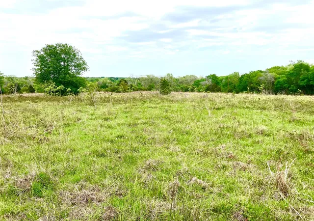 3rd image of 775 S Fm 441 Rd, Louise, TX 77455 | MLS# 44728340