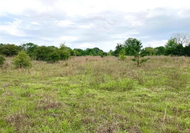 4th image of 775 S Fm 441 Rd, Louise, TX 77455 | MLS# 44728340