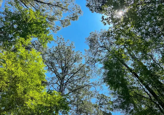 4th image of 3 New Haven Road, Milam, TX 75948 | MLS# 5100683