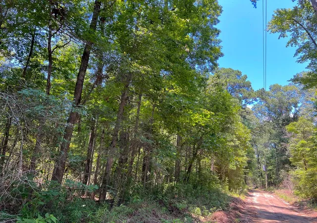 5th image of 3 New Haven Road, Milam, TX 75948 | MLS# 5100683