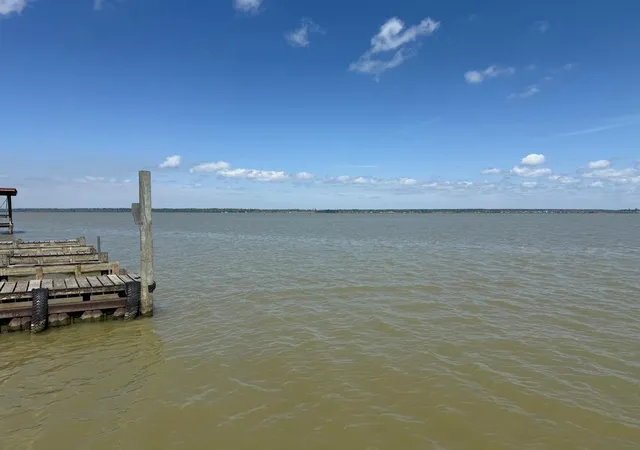Photo 3 of Land for sale at 230 E Woodland Shrs Dr, Pointblank, TX 77364 | MLS# 91865265 | Listing updated on 2026-07-20