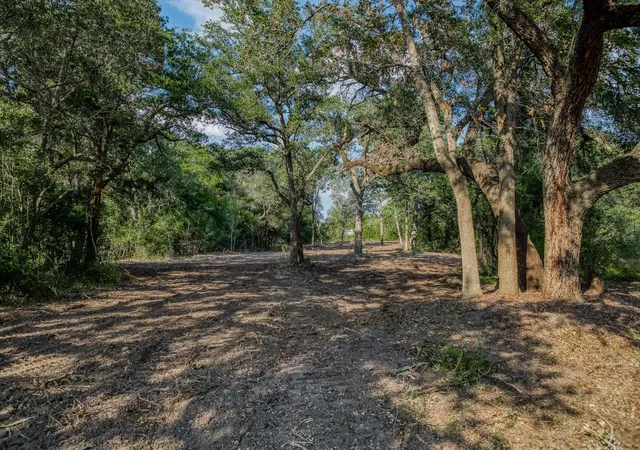 3rd image of Tract 6 Sun Oil Rd, Brenham, TX 77833 | MLS# 38964888