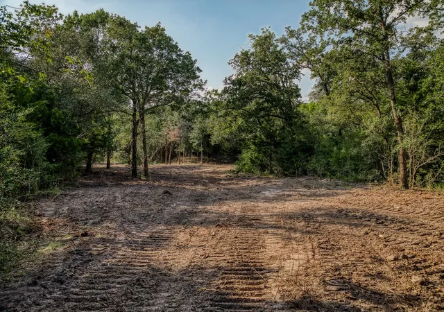 4th image of Tract 6 Sun Oil Rd, Brenham, TX 77833 | MLS# 38964888