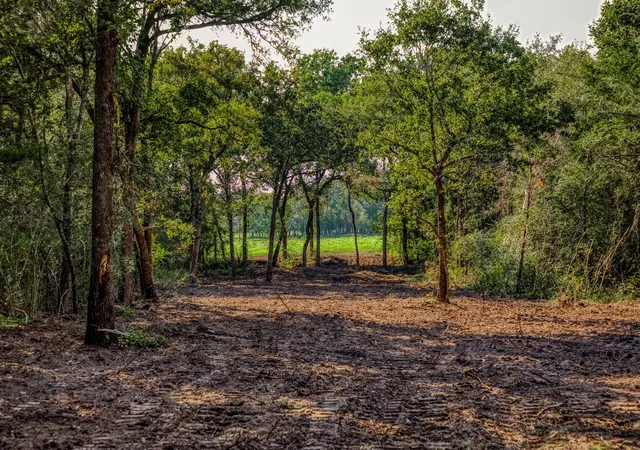 5th image of Tract 6 Sun Oil Rd, Brenham, TX 77833 | MLS# 38964888