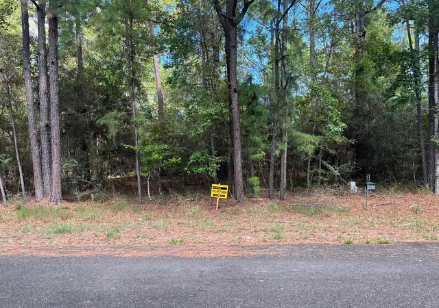 Photo 4 of Land for sale at 0 Pine Valley, Huntsville, TX 77320 | MLS# 3971307 | Listing updated on 2026-06-29