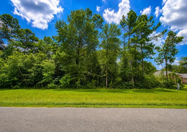 Photo 3 of Land for sale at 342 Road 662, Dayton, TX 77535 | MLS# 48762723 | Listing updated on 2026-07-29