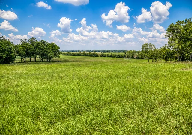 Photo 2 of Land for sale at 00 Egypt Ln, Washington, TX 77880 | MLS# 2501553 | Listing updated on 2026-01-28