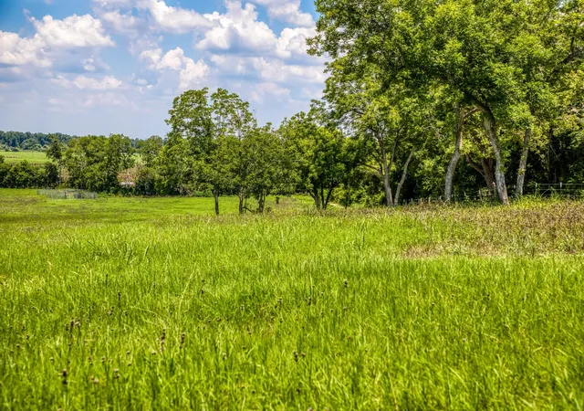 Photo 3 of Land for sale at 00 Egypt Ln, Washington, TX 77880 | MLS# 2501553 | Listing updated on 2026-01-28