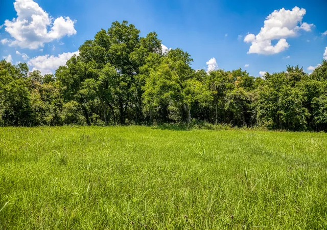 Photo 4 of Land for sale at 00 Egypt Ln, Washington, TX 77880 | MLS# 2501553 | Listing updated on 2026-01-28