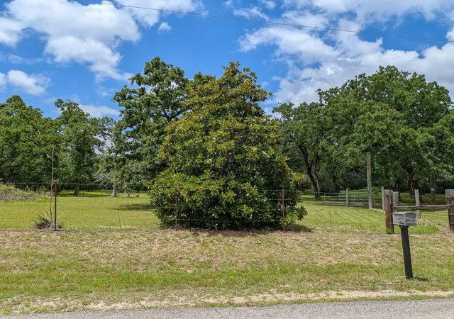 Photo 3 of Land for sale at 6099 County Rd 302, Navasota, TX 77868 | MLS# 35076312 | Listing updated on 2026-07-08