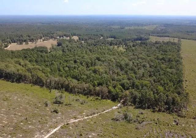 10th image of Tbd Mt Sinai Rd E, Colmesneil, TX 75938 | MLS# 27918520