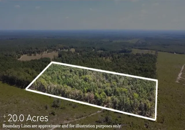 1st image of Tbd Mt Sinai Rd E, Colmesneil, TX 75938 | MLS# 27918520