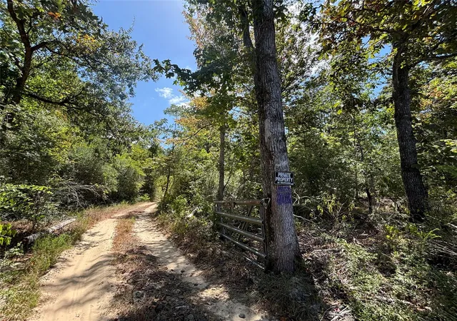2nd image of Tbd Mt Sinai Rd E, Colmesneil, TX 75938 | MLS# 27918520