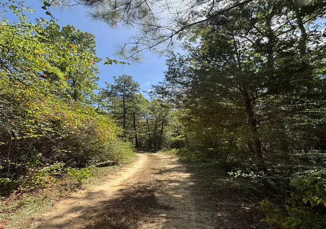 3rd image of Tbd Mt Sinai Rd E, Colmesneil, TX 75938 | MLS# 27918520