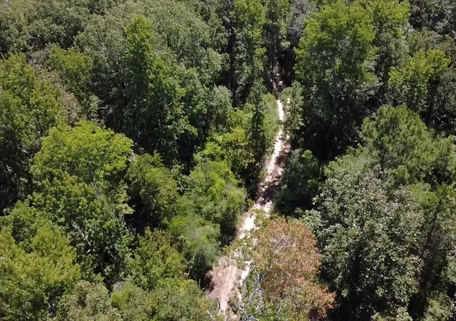 4th image of Tbd Mt Sinai Rd E, Colmesneil, TX 75938 | MLS# 27918520