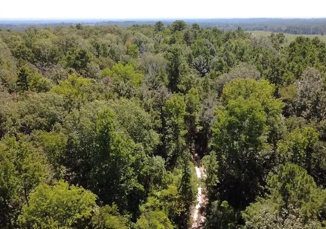 5th image of Tbd Mt Sinai Rd E, Colmesneil, TX 75938 | MLS# 27918520