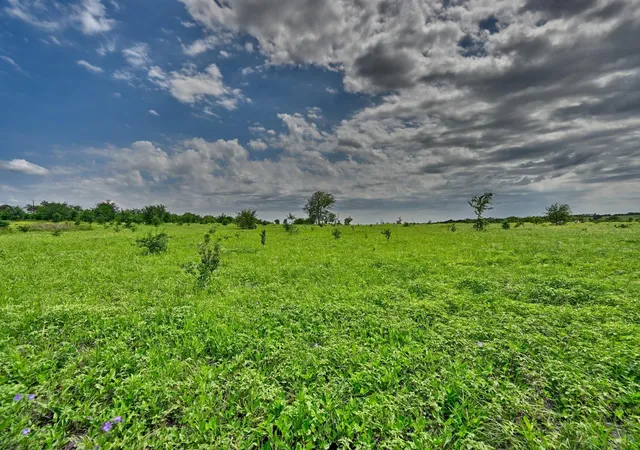 Homes for sale in New Ulm, TX | 0000 School Rd, New Ulm, TX 78950 | MLS# 38392730