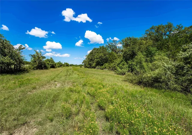 Photo 3 of Land for sale at Tbd Cr 253, Weimar, TX 78962 | MLS# 16405882 | Listing updated on 2026-08-19