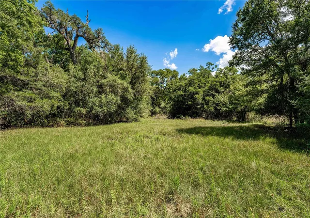 Photo 3 of Land for sale at Tbd Cr 253, Weimar, TX 78962 | MLS# 16405882 | Listing updated on 2026-08-19