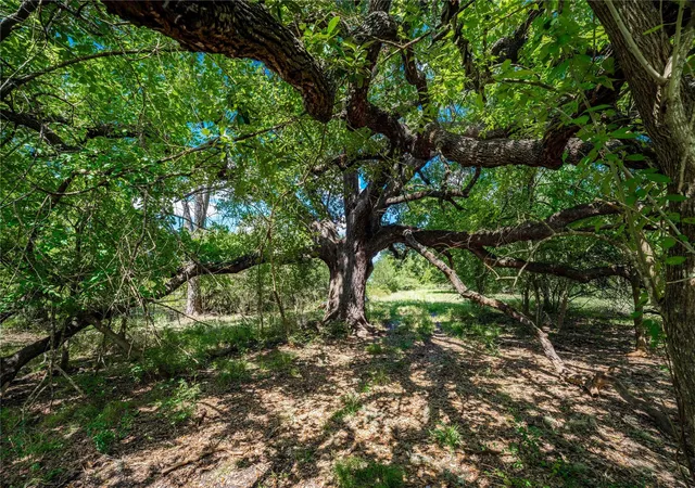 Photo 4 of Land for sale at Tbd Cr 253, Weimar, TX 78962 | MLS# 16405882 | Listing updated on 2026-08-19