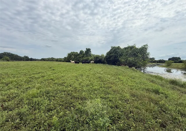 Photo 3 of Sale Pending at 0 Cr 334, Sweeny, TX 77480 | MLS# 62883830 | Listing updated on 2026-09-09