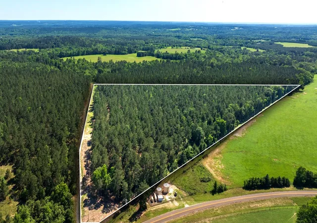 1st image of 00 00 Fm 3016, Grapeland, TX 75844 | MLS# 30551528