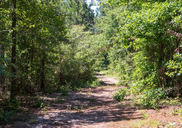 2nd image of 00 00 Fm 3016, Grapeland, TX 75844 | MLS# 30551528