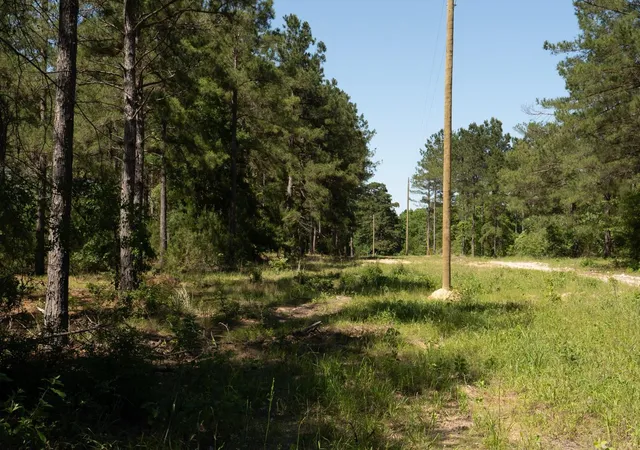 35th image of 00 00 Fm 3016, Grapeland, TX 75844 | MLS# 30551528