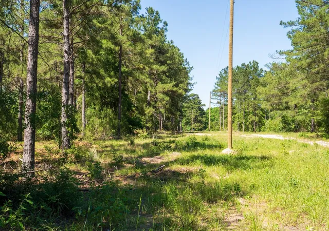 3rd image of 00 00 Fm 3016, Grapeland, TX 75844 | MLS# 30551528