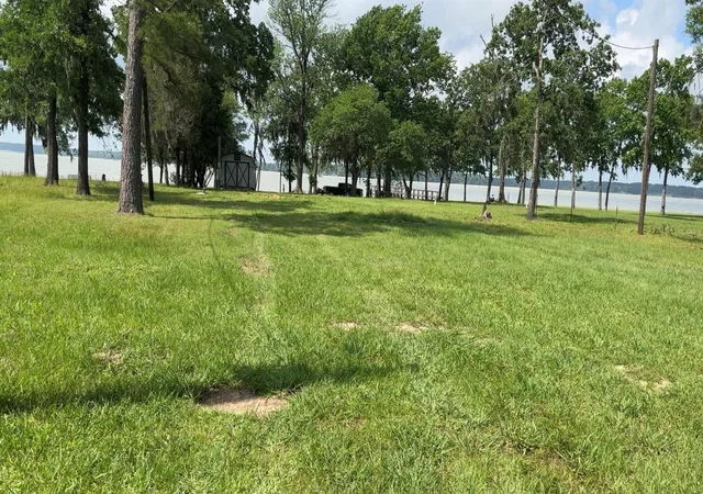 Photo 2 of Land for sale at 207 Creek Rd, Trinity, TX 75862 | MLS# 88744651 | Listing updated on 2026-08-10