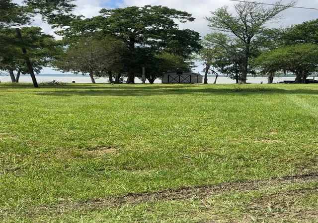 Photo 3 of Land for sale at 207 Creek Rd, Trinity, TX 75862 | MLS# 88744651 | Listing updated on 2026-08-10
