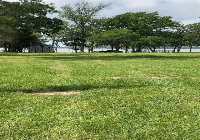 Photo 3 of Land for sale at 207 Creek Rd, Trinity, TX 75862 | MLS# 88744651 | Listing updated on 2026-08-10
