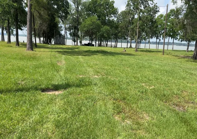 Photo 4 of Land for sale at 207 Creek Rd, Trinity, TX 75862 | MLS# 88744651 | Listing updated on 2026-08-10