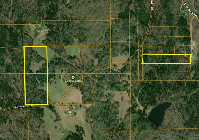 Photo 1 of Land for sale at 0 County Rd 478, Larue, TX 75770 | MLS# 9471274 | Listing updated on 2026-08-14