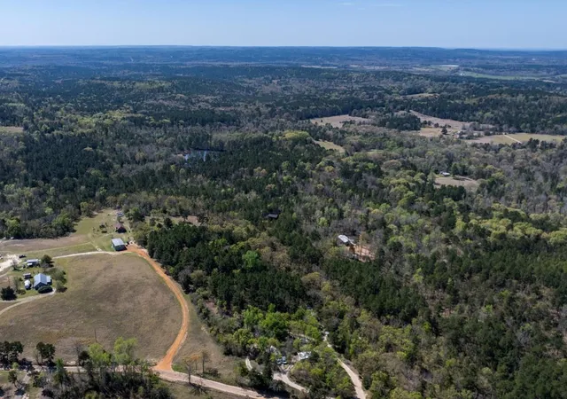 Photo 2 of Land for sale at 0 County Rd 478, Larue, TX 75770 | MLS# 9471274 | Listing updated on 2026-08-14