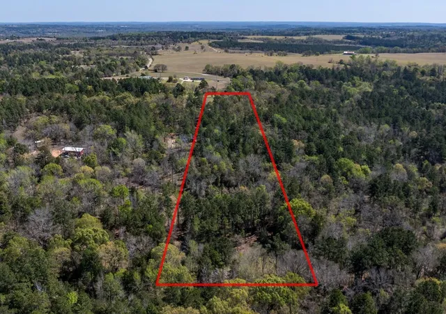 Photo 2 of Land for sale at 0 County Rd 478, Larue, TX 75770 | MLS# 9471274 | Listing updated on 2026-08-14