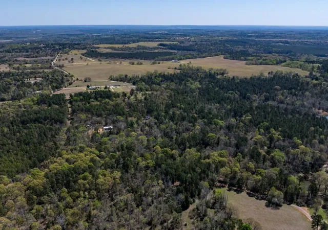 Photo 3 of Land for sale at 0 County Rd 478, Larue, TX 75770 | MLS# 9471274 | Listing updated on 2026-08-14