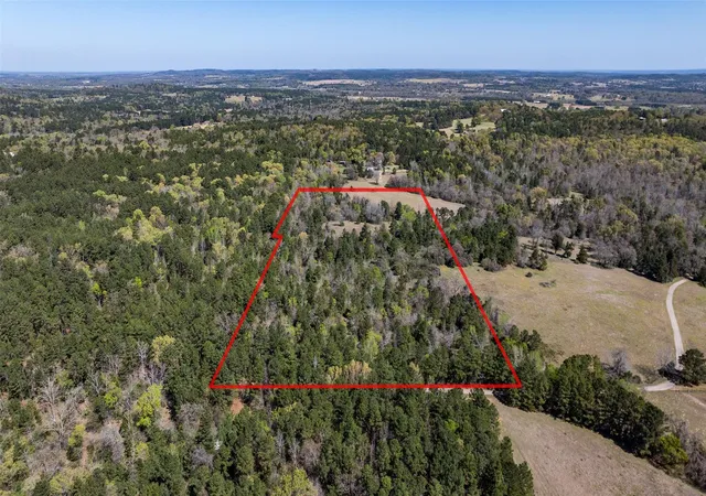 Photo 4 of Land for sale at 0 County Rd 478, Larue, TX 75770 | MLS# 9471274 | Listing updated on 2026-08-14