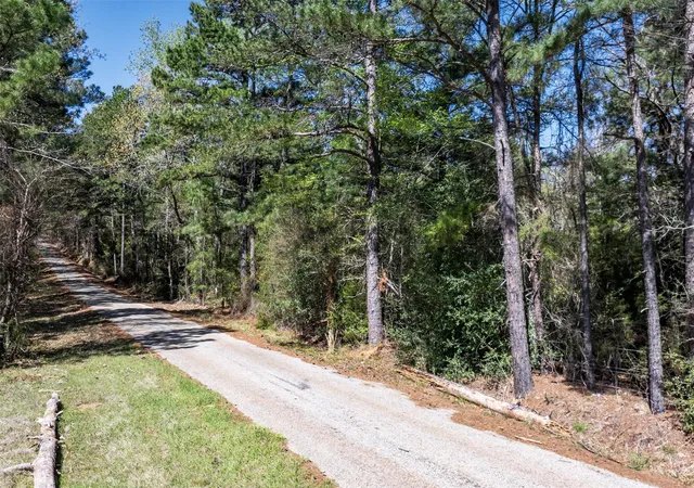 Photo 6 of Land for sale at 0 County Rd 478, Larue, TX 75770 | MLS# 9471274 | Listing updated on 2026-08-14