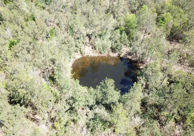 1st image of 00000 Langham, Kountze, TX 77625 | MLS# 20121326