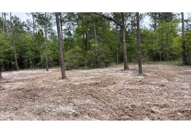 4th image of 00000 Langham, Kountze, TX 77625 | MLS# 20121326