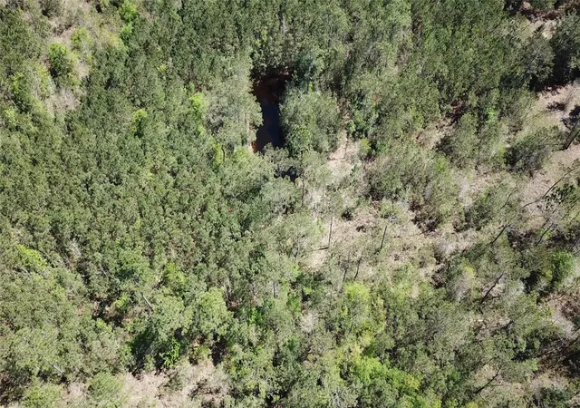 5th image of 00000 Langham, Kountze, TX 77625 | MLS# 20121326